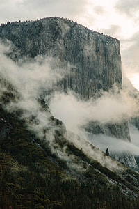 Among Giants thumbnail