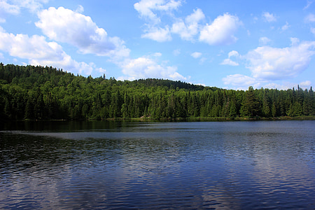 green forest beside body of water under cloudy sky during daytime thumbnail