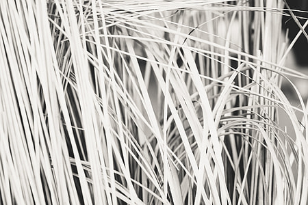 Bunch of straw in black and white thumbnail
