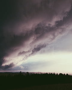 white sky and tree thumbnail