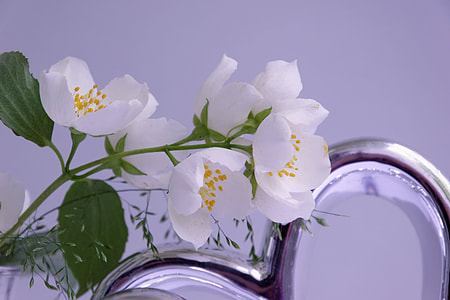 white and yellow pollen flowers near chrome steel thumbnail