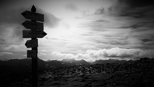 grayscale photography of road signage thumbnail