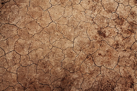 brown dried soil thumbnail