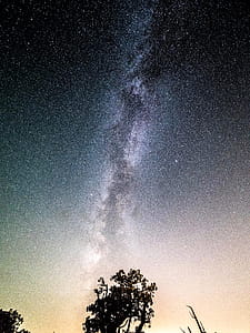 Silhouette Photo Of Tree Under Stars thumbnail