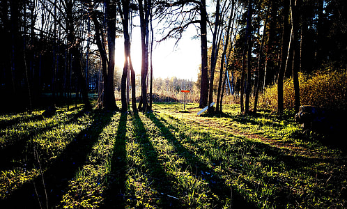 grass field thumbnail