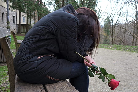 woman sitting on bench chair holding red rose thumbnail