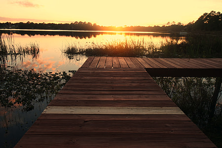 brown sea dock above body of water thumbnail