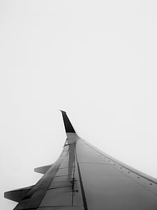photo of white plane thumbnail