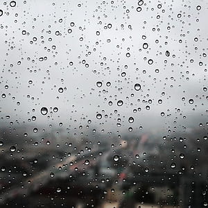 rain, raindrop, droplet, wet thumbnail