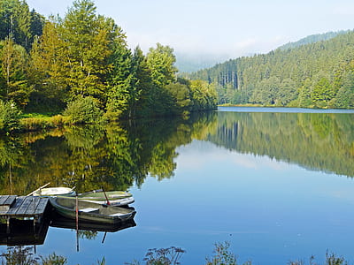 panoramic photo of trees and lake during daytime thumbnail