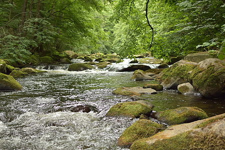 rushing lake water in the forest thumbnail