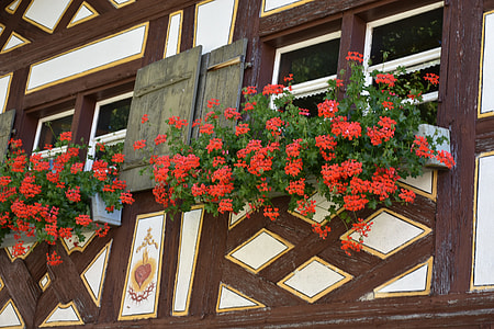Window Decorations, Historic Home thumbnail
