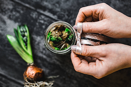 Woman making a little ornamental seedling in a small jar thumbnail
