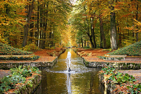 river surrounded by brown leaf trees at daytime thumbnail
