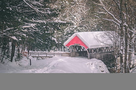 brown wooden hut near bare trees covered with snow at daytime thumbnail