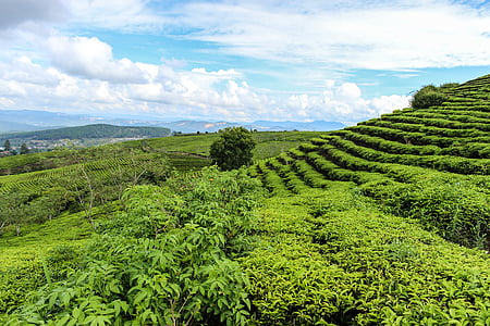 Banaue Rice Terraces, Philippines thumbnail