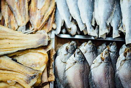 shallow focus photo of dried fishes thumbnail