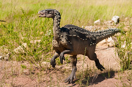 black dinosaur thumbnail