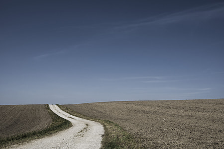 empty dirt road in between grassfield during daytime thumbnail