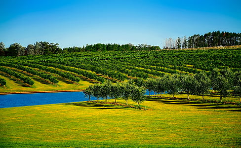 aerial photography of grass field during day time thumbnail