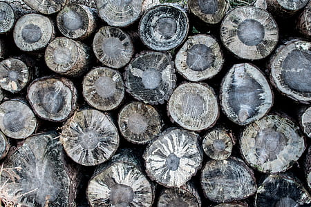 chopped log lot thumbnail