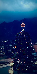 Christmas Tree during Nightime thumbnail