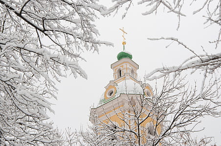 low-angle photography of cathedral thumbnail