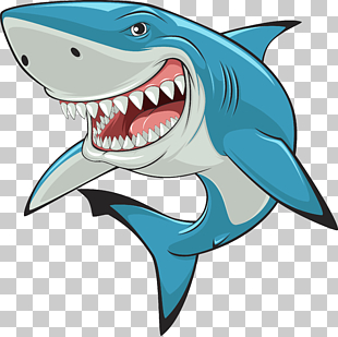 Hammerhead shark Great white shark , Shark, shark cartoon character illustration PNG clipart