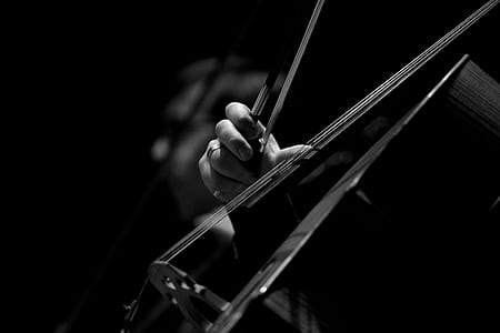 grayscale photo of person using violin thumbnail