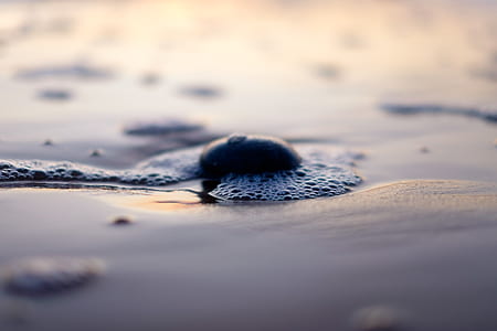 close up photo of black pebble on water thumbnail