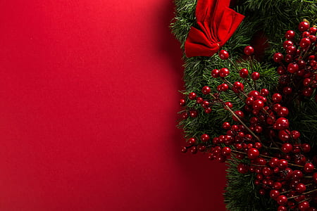 Red And Green Mistletoe Decoration thumbnail