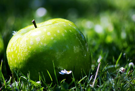 selective photo of green Apple on green grass field thumbnail