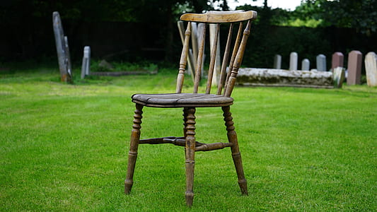wood, garden, trees, countryside thumbnail