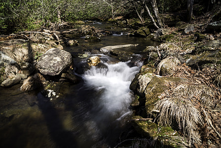 Water Cascading Rapids in Great Smoky Mountains National Park, North Carolina thumbnail