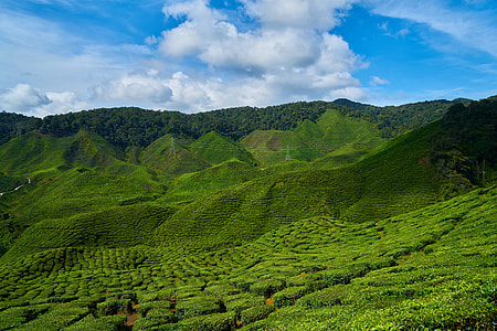 landscape photography of valley thumbnail