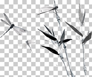 90 Dragonfly Ink Png Cliparts For Free Download Uihere