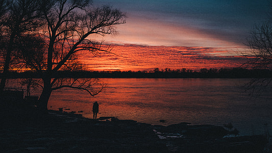 silhouette of person beside tree near body of water during dawn thumbnail