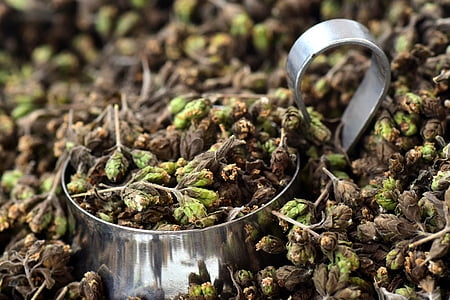 close up photo of black-and-green leaves thumbnail