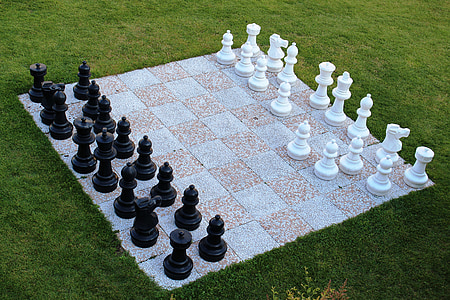 chessboard set on field of grass thumbnail