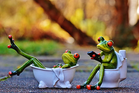 green frog sitting on toilet and lying on bathtub thumbnail