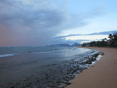 seashore near trees under blue sky thumbnail