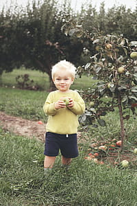 Toddler Standing Beside Green Leafed Plant Holding Fruit thumbnail