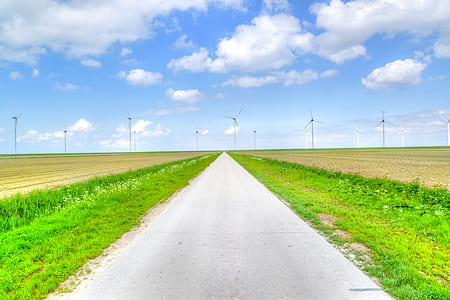 gray concrete road between green plants under white sky thumbnail