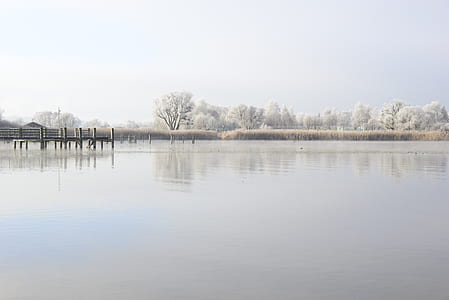 brown wood dock reflecting on still body of water thumbnail