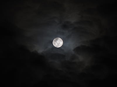 low angle photography of moon thumbnail
