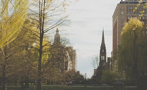 park near mid-rise buildings during daytime thumbnail