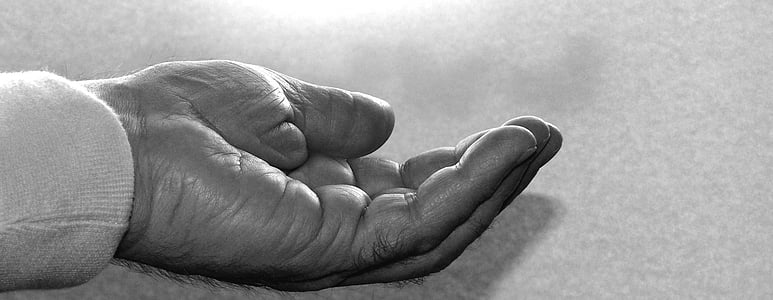 person's left hand on gray board thumbnail