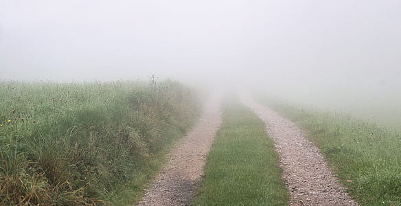 green grass field thumbnail