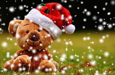 photo of brown teddy bear wearing Santa hat sitting on grass thumbnail