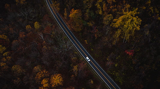 aerial view photo of white car on gray concrete road thumbnail